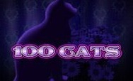 100 Cats
