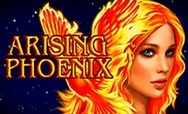 Arising Phoenix