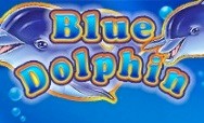 Blue Dolphin