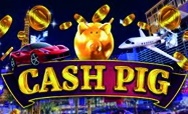 Cash Pig