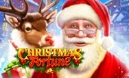 Christmas Fortune