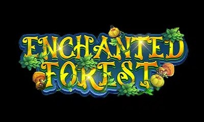 Enchanted Forest