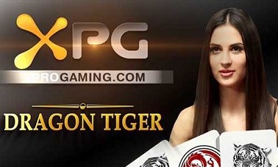 Fast Gold Dragon Tiger