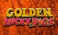 Golden Lucky Pigs