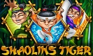 Shaolin Tiger
